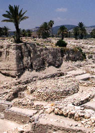 Megiddo ruins