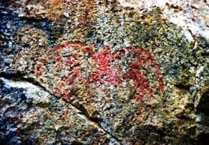 Owl petroglyph in Stein Valley