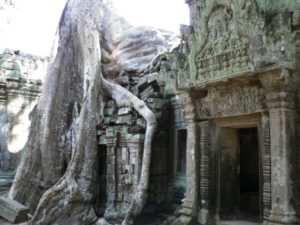 temples Angkor Wat Siem Reap